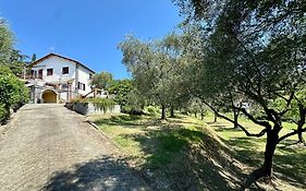 Agriturismo Uliveto Bartolomeo